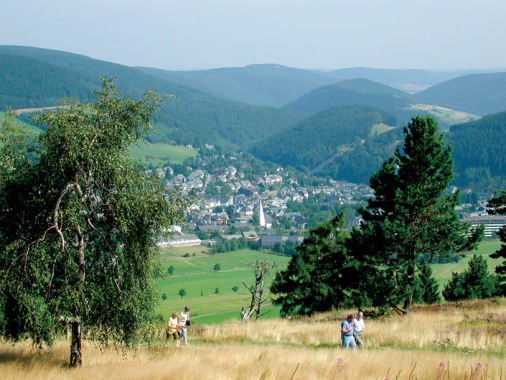 Urlaubsangebote Sonnenhof Willingen